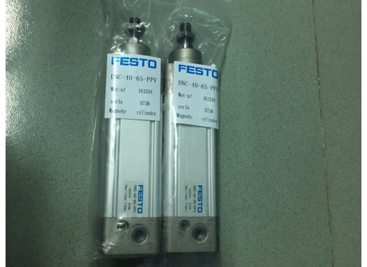 Festo DNC 