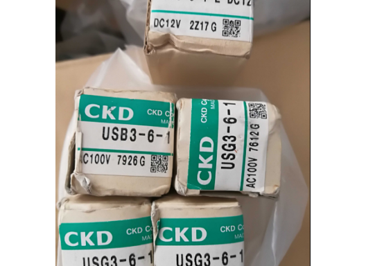 CKD USB -USG 